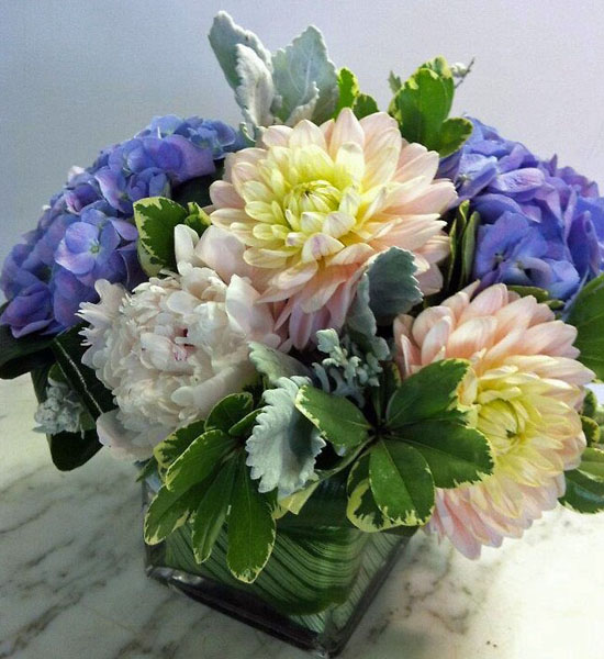 A floral arrangement of multi-colored Get Well Flowers, including roses and hydrangeas, in a white rectangular vase.