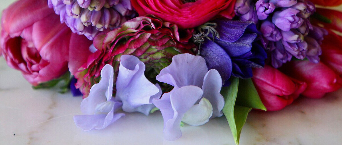 occasions