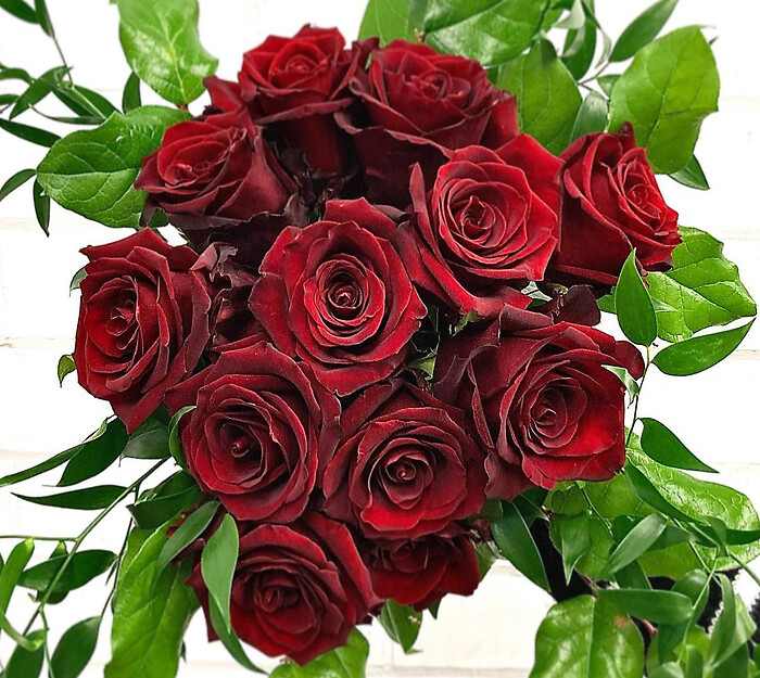 Dozen Roses in a Vase